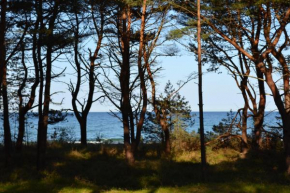 Arkona-Meeresblick am Prorer Wiek, Binz
